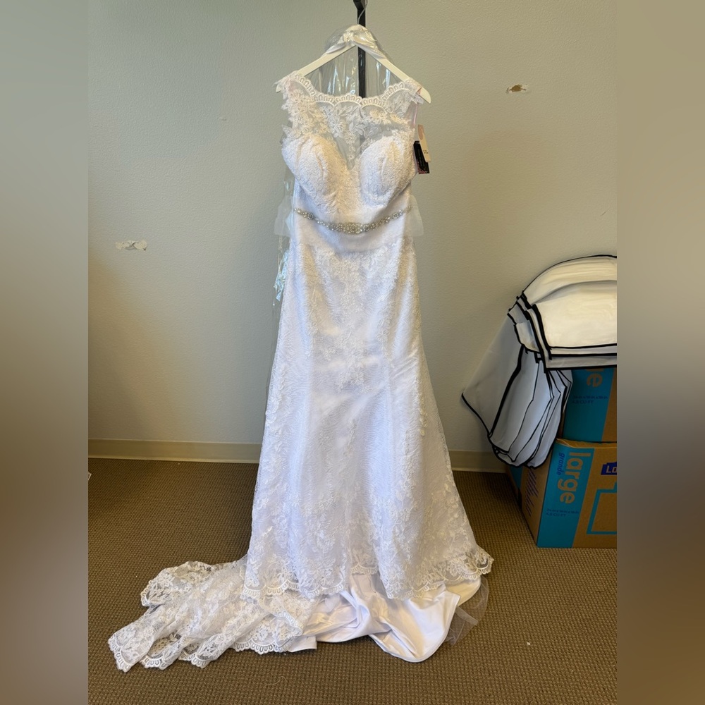 DaVinci White Bridal Gown with Lace Details 50359